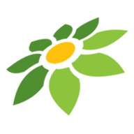 YOUTUBE PNG LOGO
